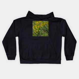 Beach Mangrove 2 Kids Hoodie